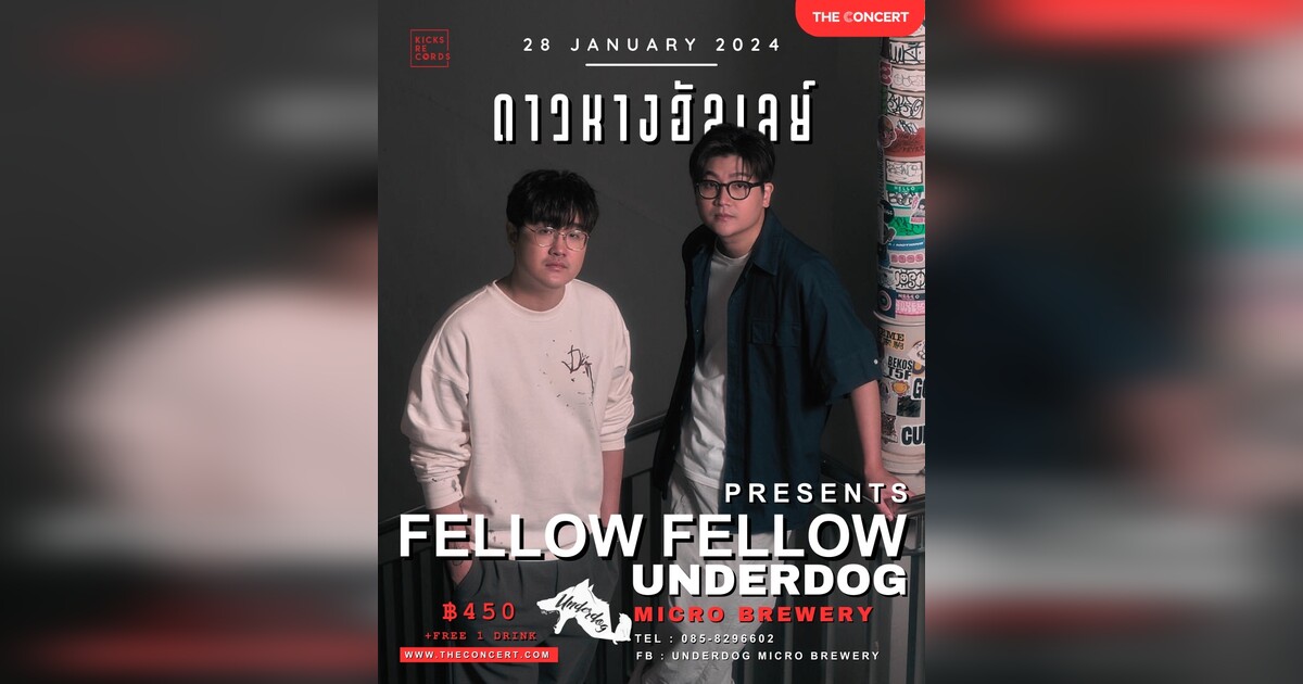 Fellow Fellow Live at Underdog (Full set)