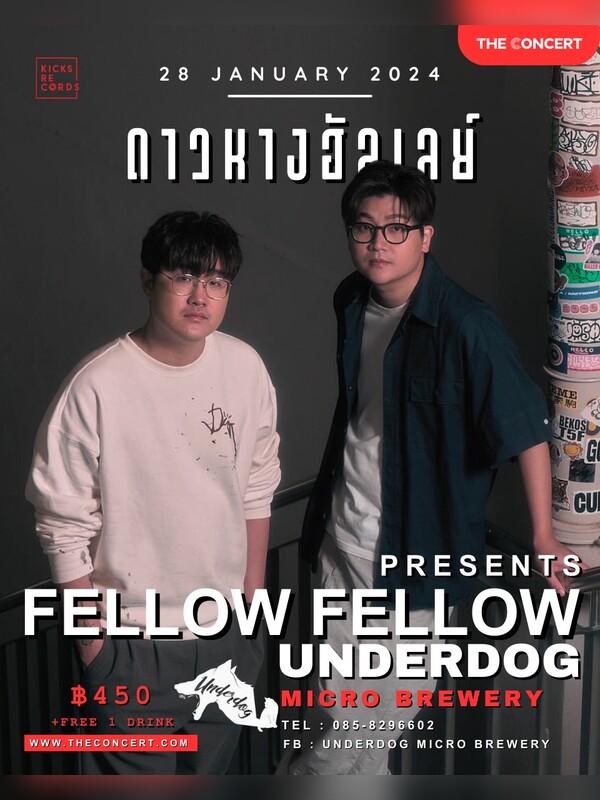 Fellow Fellow Live at Underdog (Full set)